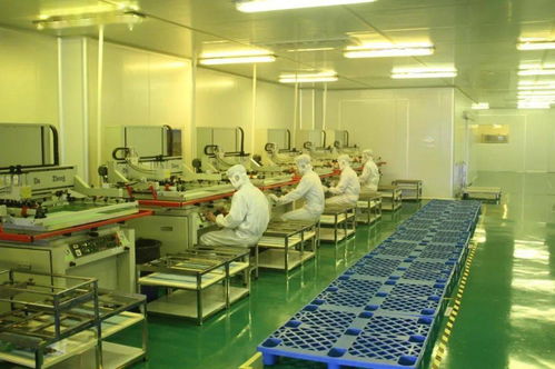 中共湛江市委十一屆十次全會工作報(bào)告要點(diǎn) 深化人力資源服務(wù)，規(guī)范職業(yè)中介活動，賦能高質(zhì)量發(fā)展