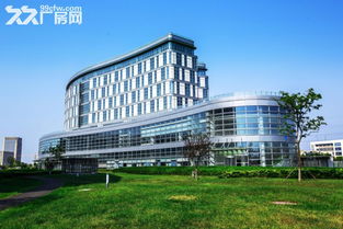 青島城陽區醫藥科技產業廠房租賃市場解析